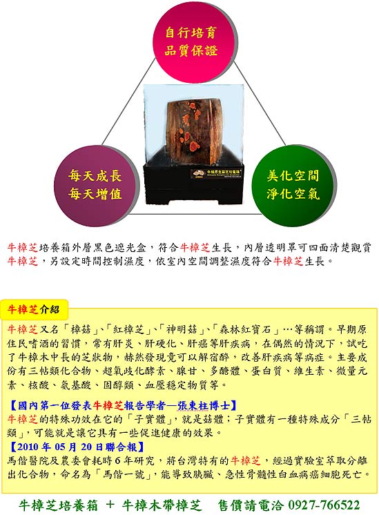 客家擂茶