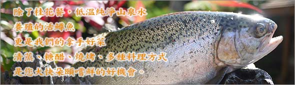 鱒魚大餐